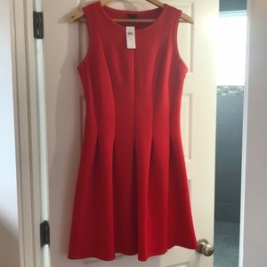 NWT Ann Taylor Dress